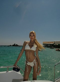 Kimberly - Transsexual escort in Phuket Photo 7 of 7