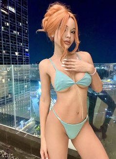 Kimgee - Transsexual escort in Bangkok Photo 9 of 9