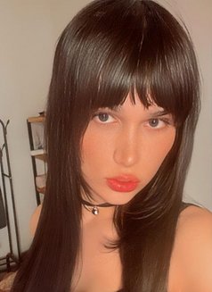Kimi Cookie - Acompañantes transexual in Beirut Photo 3 of 10