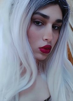 Kimi Cookie - Acompañantes transexual in Beirut Photo 5 of 10
