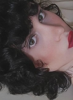 Kimi Cookie - Acompañantes transexual in Beirut Photo 6 of 10