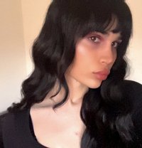 Kimi Cookie 🕸️ - Transsexual escort in Beirut
