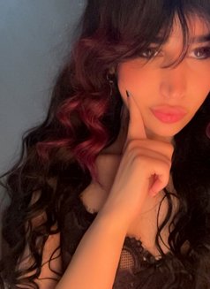 Kimi Cookie 🕸️ - Acompañantes transexual in Beirut Photo 11 of 12