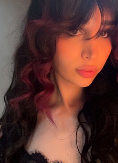 Kimi Cookie 🕸️ - Acompañantes transexual in Beirut Photo 12 of 12