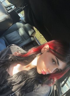 Kimi Cookie 🕸️ - Acompañantes transexual in Beirut Photo 10 of 10