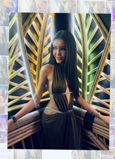 KimJS - escort in Phuket Photo 4 of 13