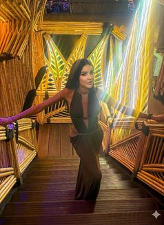 KimJS - escort in Phuket Photo 6 of 13