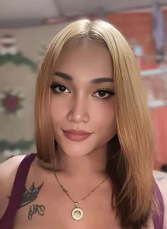 Kimm Hinos - escort in Sydney Photo 3 of 3