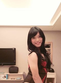Kimmi - Transsexual escort in Jakarta Photo 1 of 6