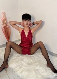 Kimmi Sexy Ladyboy Thailand🇹🇭 - Transsexual escort in Abu Dhabi Photo 4 of 8