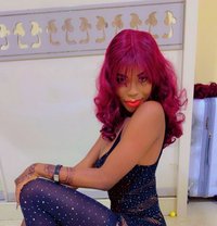 Kimmie Lattest Girl in town - escort in Muscat