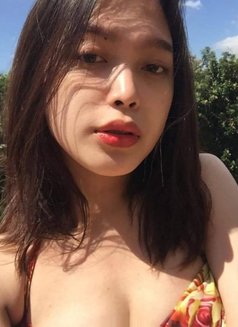 Kimmy - Acompañantes transexual in Manila Photo 1 of 10