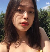 Kimmy - Acompañantes transexual in Manila