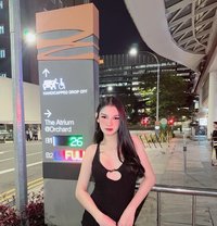 Kimmy - Acompañantes transexual in Taipei