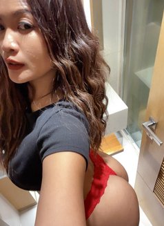 Kimmy independent - escort in Bangkok Photo 12 of 13