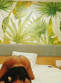 Barbie doll kikie near annanagar Chennai - companion in Chennai Photo 3 of 9