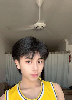 Kimmy Ladyboy Mabelah - Transsexual escort in Muscat Photo 1 of 7
