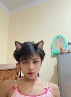 Kimmy Ladyboy Mabelah - Transsexual escort in Muscat Photo 4 of 7