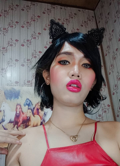 Kimmy Sweet - Acompañantes transexual in Manila Photo 9 of 10