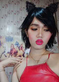 Kimmy Sweet - Transsexual escort in Manila Photo 10 of 10
