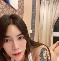Kimmy - Transsexual escort in Hong Kong
