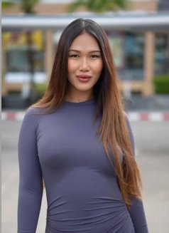 Kimmy - Transsexual escort in Berlin Photo 1 of 13