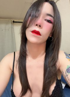 Kimmy - Acompañantes transexual in Taipei Photo 10 of 14