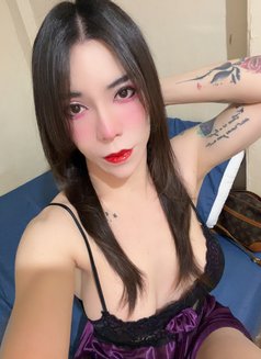 Kimmy - Acompañantes transexual in Taipei Photo 11 of 14