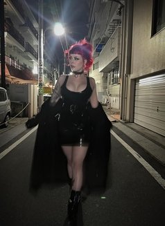 Mistress Kina - escort in Brussels Photo 1 of 5