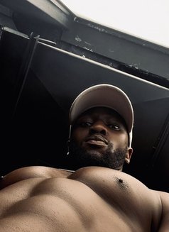 King Xxl - Male escort in Dubai Photo 1 of 2