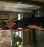 GFE Kinky Elite - escort in Makati City Photo 4 of 5