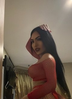 Kinky Mistress Aila HugeCock W/ Poppers - Transsexual escort in Bangkok Photo 27 of 30