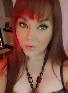 KINKY DOMINANT SEXMACHINE TS TOPnBOTTOM - Transsexual escort in Kuala Lumpur Photo 26 of 30