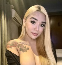 KINKY SEXY BUSTY Mistress live at Seoul - Transsexual escort in Seoul