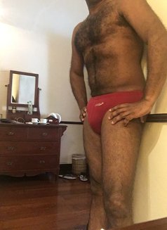 Kinod - Acompañantes masculino in Colombo Photo 3 of 3