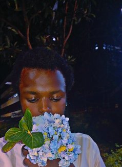 Kira - Male escort in Nairobi Photo 4 of 4