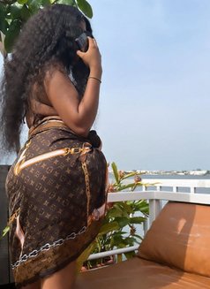 Kira - escort in Bali Photo 1 of 8