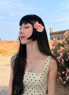Kira Mizuki - companion in Dubai Photo 14 of 14