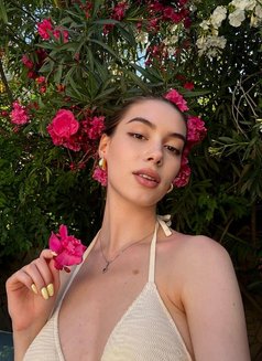 Alina - puta in Dubai Photo 3 of 7