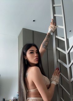 KIRA TOP XL 🇷🇺 - Transsexual escort in Almaty Photo 22 of 22