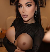 KIRA TOP XL 🇷🇺 - Transsexual escort in Riyadh
