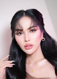 Kirara Wet Pussy - escort in Bangkok Photo 30 of 30