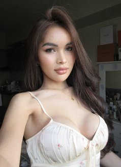 Kirara Wet Pussy - escort in Singapore Photo 26 of 27
