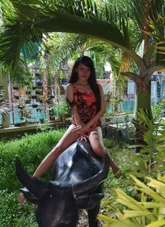 Kisses Escort/camshow - Transsexual escort in Manila Photo 7 of 9