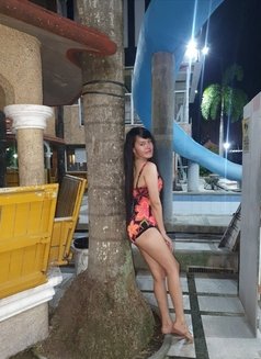 Kisses Escort/camshow - Acompañantes transexual in Manila Photo 9 of 9