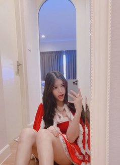 Kitten Sweet - escort in Bangkok Photo 4 of 9