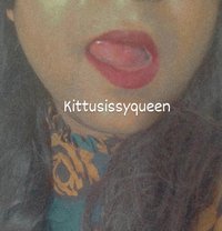 Kittu Baby - Transsexual escort in New Delhi