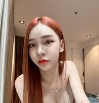 Kitty Big Cock - Transsexual escort in Tokyo