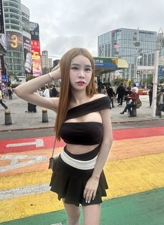 Kitty Big cum - Transsexual escort in Kuala Lumpur Photo 17 of 17