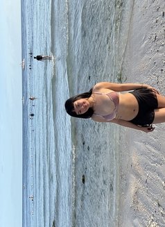 Kitty - escort in Singapore Photo 1 of 3